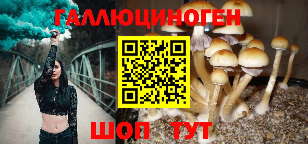 Галлюциногенные грибы GOLDEN TEACHER Алушта